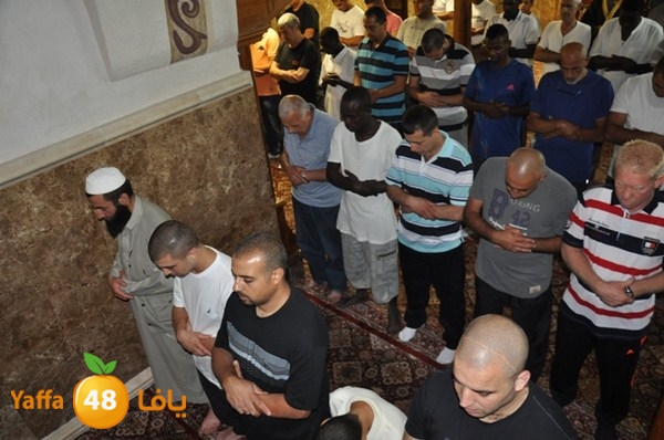 trawe7 mahmodiya 713 (2).JPG